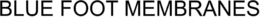 BLUE FOOT MEMBRANES trademark