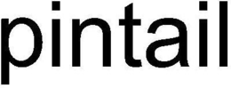 PINTAIL trademark