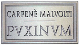 CARPENÈ MALVOLTI PUXINUM trademark