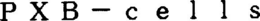 PXB-CELLS trademark