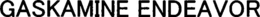 GASKAMINE ENDEAVOR trademark