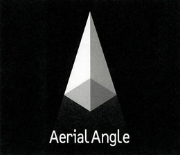 AERIAL ANGLE trademark