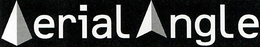 AERIAL ANGLE trademark