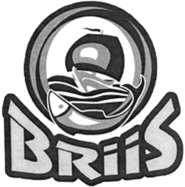 BRIIS trademark