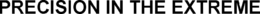 PRECISION IN THE EXTREME trademark