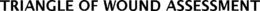 TRIANGLE OF WOUND ASSESSMENT trademark