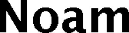 NOAM trademark