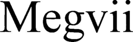 MEGVII trademark