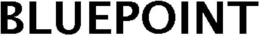 BLUEPOINT trademark