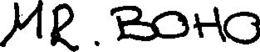 MR. BOHO trademark