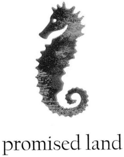 PROMISED LAND trademark