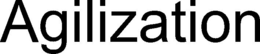 AGILIZATION trademark