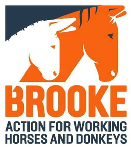 BROOKE ACTION FOR WORKING HORSES AND DONKEYS trademark