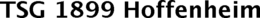 TSG 1899 HOFFENHEIM trademark