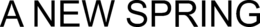 A NEW SPRING trademark