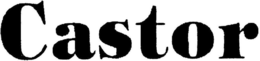 CASTOR trademark