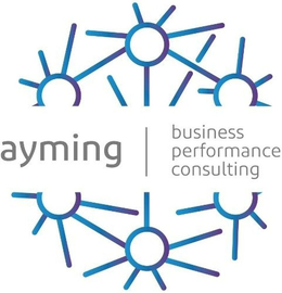 AYMING BUSINESS PERFORMANCE CONSULTING trademark