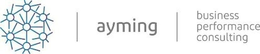 AYMING BUSINESS PERFORMANCE CONSULTING trademark