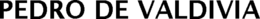 PEDRO DE VALDIVIA trademark