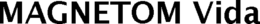 MAGNETOM VIDA trademark
