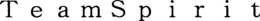 TEAMSPIRIT trademark