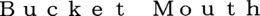 BUCKET MOUTH trademark