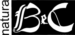 NATURA B E C trademark
