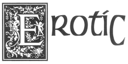 E EROTIC trademark