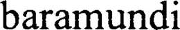 BARAMUNDI trademark