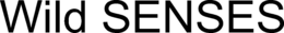 WILD SENSES trademark
