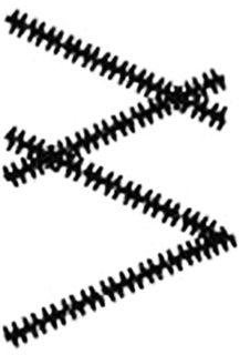 W trademark