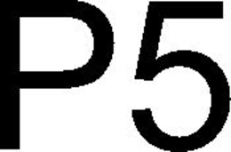 P5 trademark