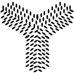 &Y trademark
