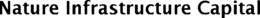 NATURE INFRASTRUCTURE CAPITAL trademark