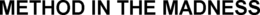 METHOD IN THE MADNESS trademark