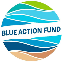 BLUE ACTION FUND trademark