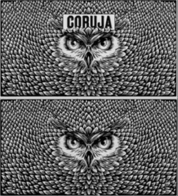 CORUJA trademark