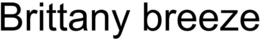 BRITTANY BREEZE trademark