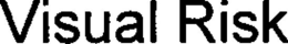 VISUAL RISK trademark