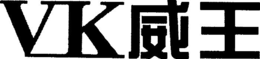 VK trademark