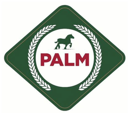 PALM trademark