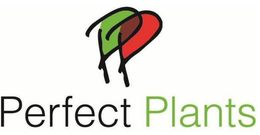 PERFECT PLANTS trademark