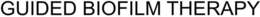 GUIDED BIOFILM THERAPY trademark
