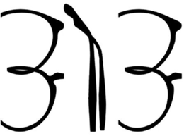 313 trademark