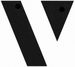 V trademark