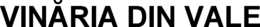 VINARIA DIN VALE trademark
