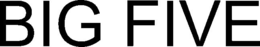 BIG FIVE trademark