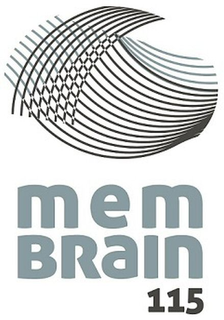 MEM BRAIN 115 trademark