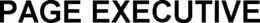 PAGE EXECUTIVE trademark