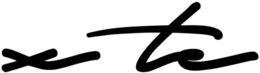 X TE trademark